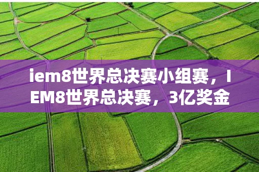 iem8世界总决赛小组赛，IEM8世界总决赛，3亿奖金池背后藏着多少见不得光的猫腻？真上头！