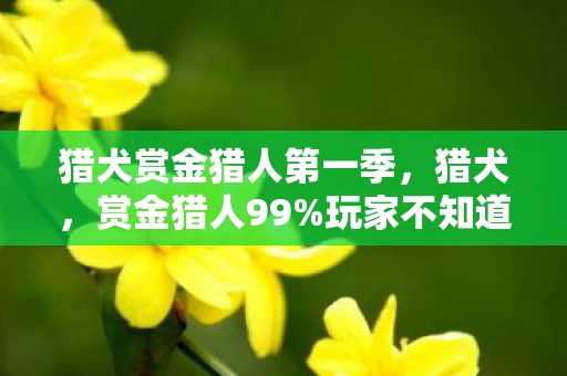 猎犬赏金猎人第一季,猎犬,赏金猎人99%玩家不知道的3大猫腻,氪金陷阱坑到你上头! 猎犬赏金猎人第一季,猎犬,赏金猎人99%玩家不知道的3大猫腻,氪金陷阱坑到你上头!