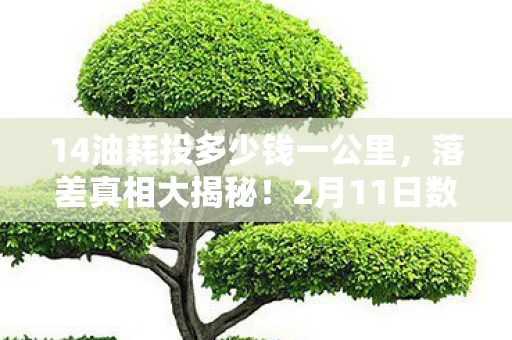 14油耗投多少钱一公里，落差真相大揭秘！2月11日数字解密笑着笑着，我却哭了……