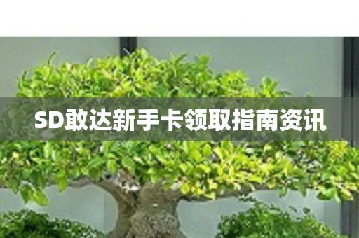 SD敢达新手卡领取指南资讯图片