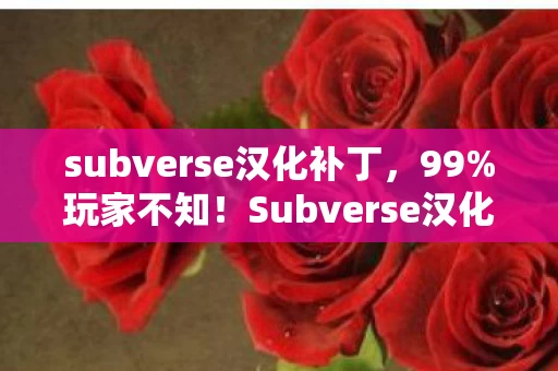 subverse汉化补丁,99%玩家不知!Subverse汉化后竟藏着这3大逆天玩法机制 subverse汉化补丁,99%玩家不知!Subverse汉化后竟藏着这3大逆天玩法机制