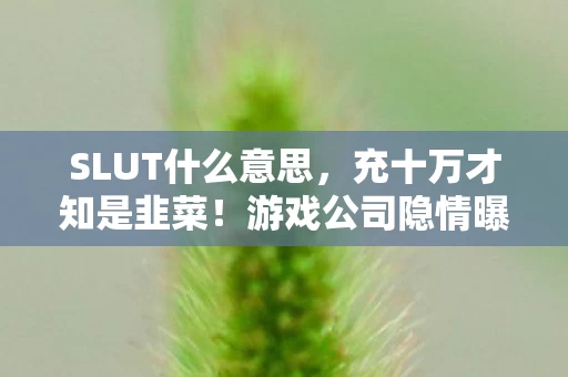 SLUT什么意思,充十万才知是韭菜!游戏公司隐情曝光,这操作真让人吓一跳! SLUT什么意思,充十万才知是韭菜!游戏公司隐情曝光,这操作真让人吓一跳!