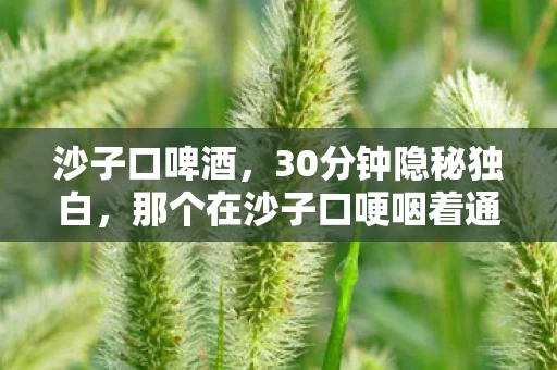 沙子口啤酒，30分钟隐秘独白，那个在沙子口哽咽着通关的少年，如今还好吗？