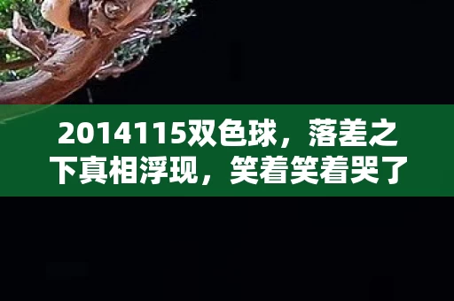 2014115双色球，落差之下真相浮现，笑着笑着哭了，这游戏究竟有何魔力？