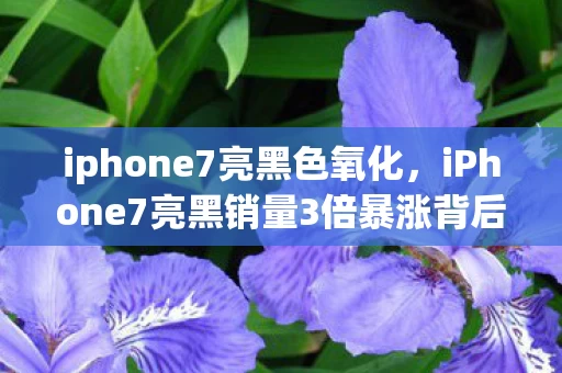 iphone7亮黑色氧化，iPhone7亮黑销量3倍暴涨背后，疑云密布，玩家心寒真相几何？