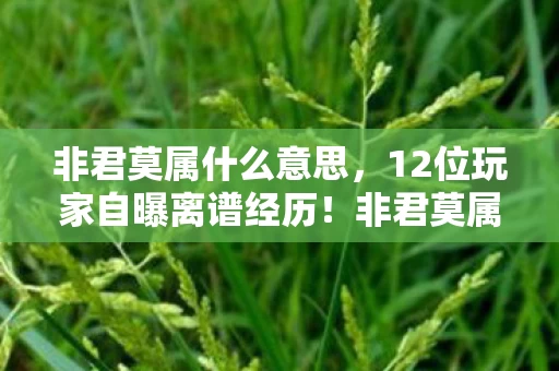 非君莫属什么意思，12位玩家自曝离谱经历！非君莫属35疑点重重，网友，绷不住了！