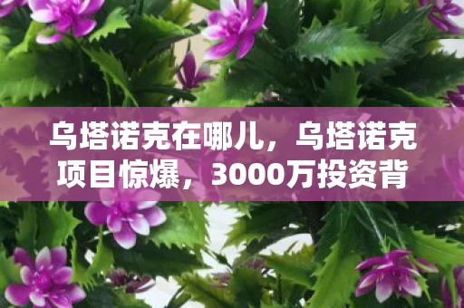 乌塔诺克在哪儿,乌塔诺克项目惊爆,3000万投资背后隐情,结果让人吓一跳! 乌塔诺克在哪儿,乌塔诺克项目惊爆,3000万投资背后隐情,结果让人吓一跳!