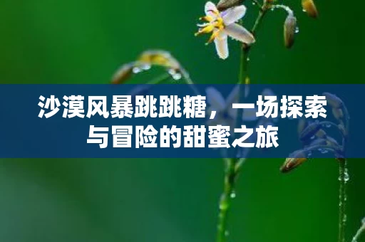 一场探索与冒险的甜蜜之旅图片