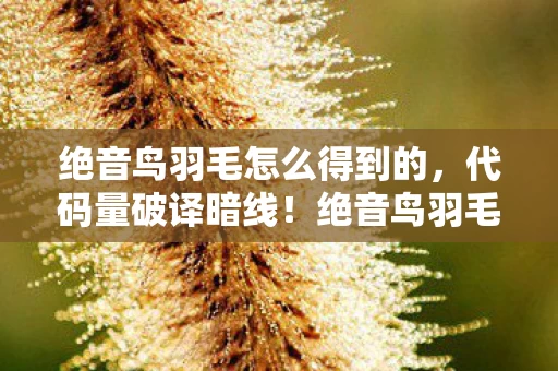 绝音鸟羽毛怎么得到的,代码量破译暗线!绝音鸟羽毛竟让社恐指挥头皮发麻的真相 绝音鸟羽毛怎么得到的,代码量破译暗线!绝音鸟羽毛竟让社恐指挥头皮发麻的真相