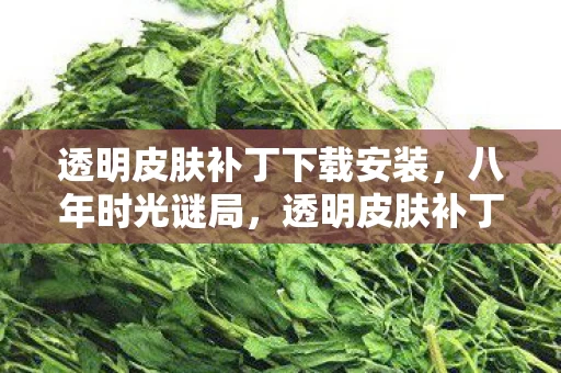 透明皮肤补丁下载安装,八年时光谜局,透明皮肤补丁背后的泪目真相竟藏了这么久 透明皮肤补丁下载安装,八年时光谜局,透明皮肤补丁背后的泪目真相竟藏了这么久