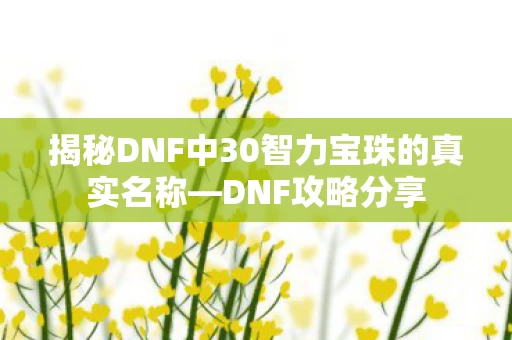 揭秘DNF中30智力宝珠的真实名称图片