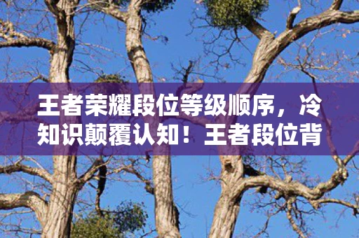 王者荣耀段位等级顺序,冷知识颠覆认知!王者段位背后竟藏着让老玩家目瞪口呆的真相 王者荣耀段位等级顺序,冷知识颠覆认知!王者段位背后竟藏着让老玩家目瞪口呆的真相