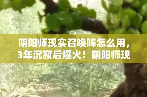 阴阳师现实召唤阵怎么用,3年沉寂后爆火!阴阳师现实召唤阵激活10亿级AR新蓝海,情怀杀竟成印钞机? 阴阳师现实召唤阵怎么用,3年沉寂后爆火!阴阳师现实召唤阵激活10亿级AR新蓝海,情怀杀竟成印钞机?