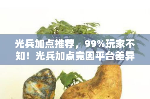 光兵加点推荐,99%玩家不知!光兵加点竟因平台差异,体验天差地别? 光兵加点推荐,99%玩家不知!光兵加点竟因平台差异,体验天差地别?