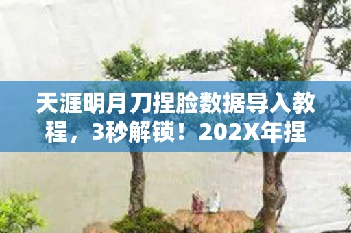 天涯明月刀捏脸数据导入教程,3秒解锁!202X年捏脸黑科技竟让百万玩家集体破防? 天涯明月刀捏脸数据导入教程,3秒解锁!202X年捏脸黑科技竟让百万玩家集体破防?