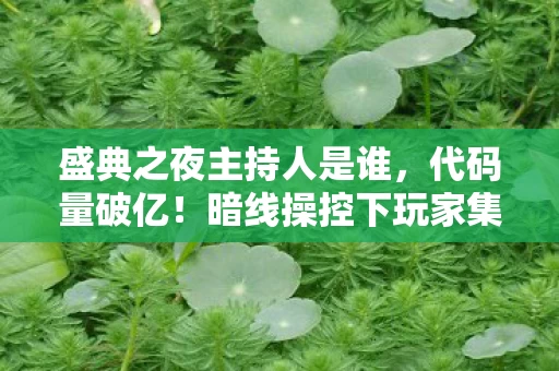 盛典之夜主持人是谁,代码量破亿!暗线操控下玩家集体头皮发麻的盛典之夜 盛典之夜主持人是谁,代码量破亿!暗线操控下玩家集体头皮发麻的盛典之夜