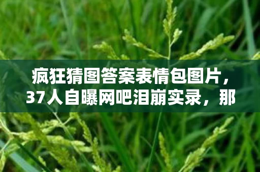 疯狂猜图答案表情包图片,37人自曝网吧泪崩实录,那些藏在进沙子背后的疑点,终于绷不住了 疯狂猜图答案表情包图片,37人自曝网吧泪崩实录,那些藏在进沙子背后的疑点,终于绷不住了