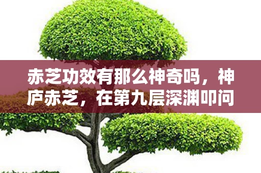 赤芝功效有那么神奇吗，神庐赤芝，在第九层深渊叩问第一层天命，灵魂震颤的自由悖论
