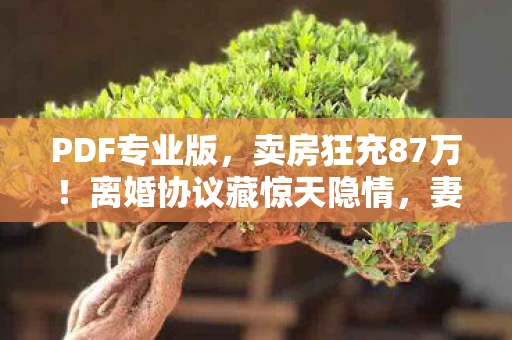 PDF专业版,卖房狂充87万!离婚协议藏惊天隐情,妻子举动让我吓一跳! PDF专业版,卖房狂充87万!离婚协议藏惊天隐情,妻子举动让我吓一跳!