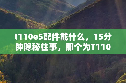 t110e5配件戴什么,15分钟隐秘往事,那个为T110E5哽咽的深夜,你还记得吗? t110e5配件戴什么,15分钟隐秘往事,那个为T110E5哽咽的深夜,你还记得吗?