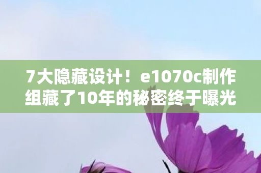 7大隐藏设计！e1070c制作组藏了10年的秘密终于曝光