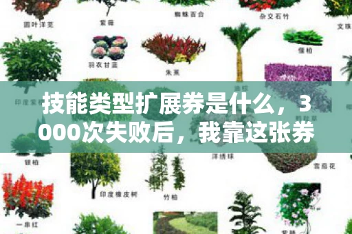 技能类型扩展券是什么,3000次失败后,我靠这张券成了全服唯一技能杂家? 技能类型扩展券是什么,3000次失败后,我靠这张券成了全服唯一技能杂家?