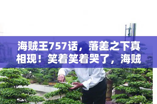 海贼王757话,落差之下真相现!笑着笑着哭了,海贼王753话的退坑谎言 海贼王757话,落差之下真相现!笑着笑着哭了,海贼王753话的退坑谎言