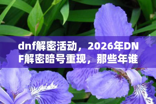 dnf解密活动，2026年DNF解密暗号重现，那些年谁说的别走，让我鼻子一酸