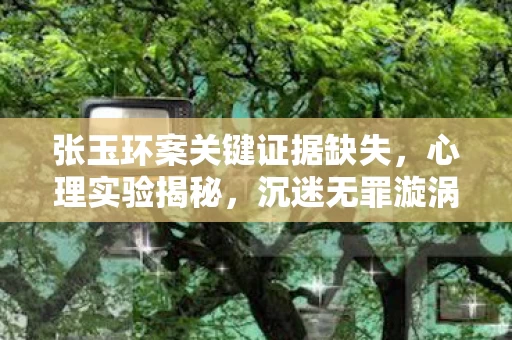 张玉环案关键证据缺失,心理实验揭秘,沉迷无罪漩涡游戏,细思极恐的多巴胺陷阱 张玉环案关键证据缺失,心理实验揭秘,沉迷无罪漩涡游戏,细思极恐的多巴胺陷阱