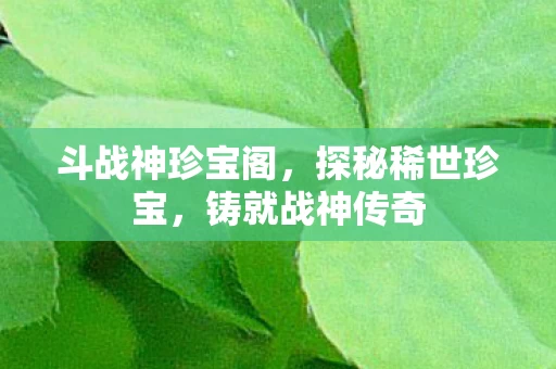 斗战神珍宝阁图片