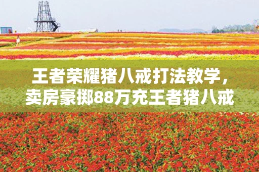 王者荣耀猪八戒打法教学，卖房豪掷88万充王者猪八戒，离婚协议藏惊天隐情，吓你一跳！