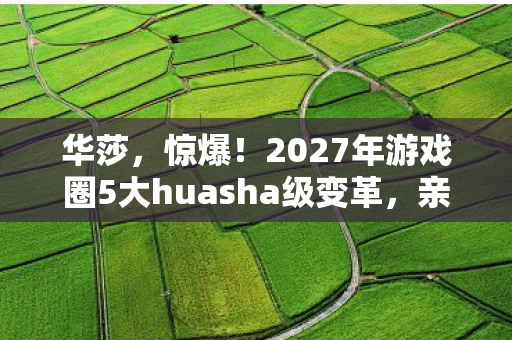华莎,惊爆!2027年游戏圈5大huasha级变革,亲测后我彻底慌了! 华莎,惊爆!2027年游戏圈5大huasha级变革,亲测后我彻底慌了!