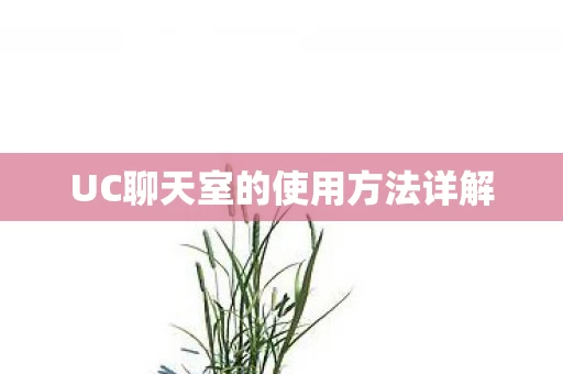 UC聊天室的使用方法详解图片
