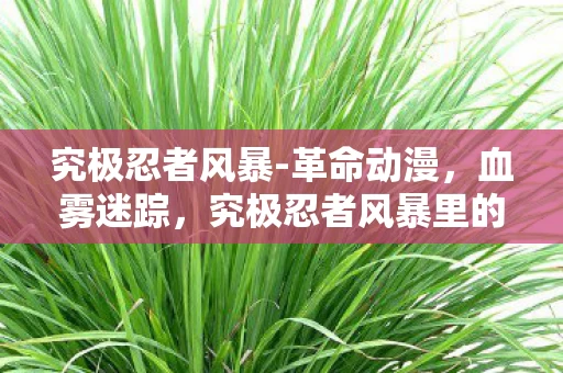 究极忍者风暴-革命动漫,血雾迷踪,究极忍者风暴里的万杀悬案与毛骨悚然真相 究极忍者风暴-革命动漫,血雾迷踪,究极忍者风暴里的万杀悬案与毛骨悚然真相