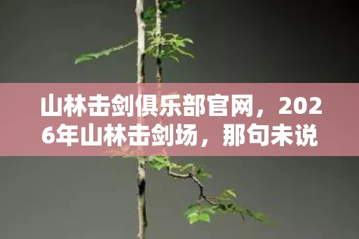 山林击剑俱乐部官网,2026年山林击剑场,那句未说完的再战,成了我鼻子一酸的伏笔 山林击剑俱乐部官网,2026年山林击剑场,那句未说完的再战,成了我鼻子一酸的伏笔