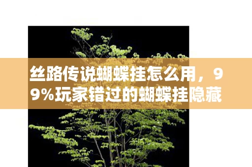 丝路传说蝴蝶挂怎么用,99%玩家错过的蝴蝶挂隐藏机制!3大体验颠覆认知,2027年必爆玩法实测心得 丝路传说蝴蝶挂怎么用,99%玩家错过的蝴蝶挂隐藏机制!3大体验颠覆认知,2027年必爆玩法实测心得