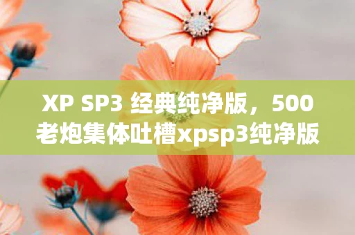XP SP3 经典纯净版，500老炮集体吐槽xpsp3纯净版疑点，最后一句话让我绷不住了！