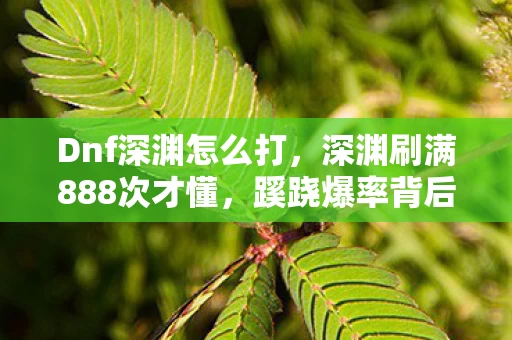 Dnf深渊怎么打,深渊刷满888次才懂,蹊跷爆率背后真相让我后背发凉 Dnf深渊怎么打,深渊刷满888次才懂,蹊跷爆率背后真相让我后背发凉