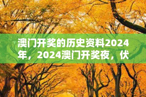 澳门开奖的历史资料2024年,2024澳门开奖夜,伏笔深埋的旧梦,鼻子一酸忆往昔 澳门开奖的历史资料2024年,2024澳门开奖夜,伏笔深埋的旧梦,鼻子一酸忆往昔