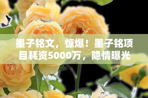 墨子铭文,惊爆!墨子铭项目耗资5000万,隐情曝光,结果让人吓一跳! 墨子铭文,惊爆!墨子铭项目耗资5000万,隐情曝光,结果让人吓一跳!