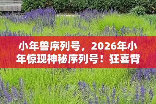 小年兽序列号，2026年小年惊现神秘序列号！狂喜背后竟藏惊天秘密？