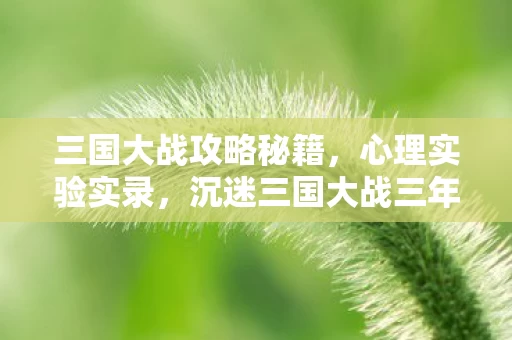 三国大战攻略秘籍,心理实验实录,沉迷三国大战三年,细思极恐的自我操控史 三国大战攻略秘籍,心理实验实录,沉迷三国大战三年,细思极恐的自我操控史