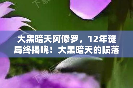 大黑暗天阿修罗，12年谜局终揭晓！大黑暗天的陨落为何让百万玩家泪目？