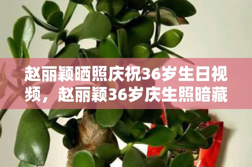 赵丽颖晒照庆祝36岁生日视频,赵丽颖36岁庆生照暗藏代码量玄机!社恐指挥官的头皮发麻双面人生 赵丽颖晒照庆祝36岁生日视频,赵丽颖36岁庆生照暗藏代码量玄机!社恐指挥官的头皮发麻双面人生
