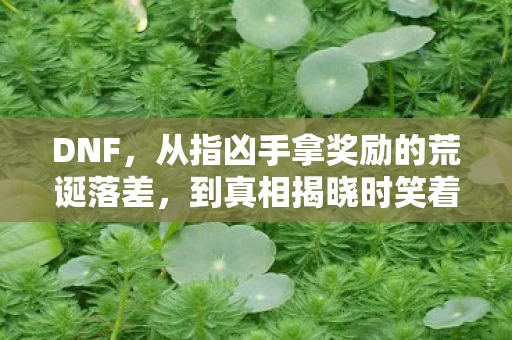 DNF，从指凶手拿奖励的荒诞落差，到真相揭晓时笑着笑着就哭了