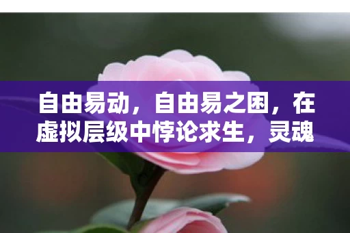 自由易动,自由易之困,在虚拟层级中悖论求生,灵魂震颤的终极审判 自由易动,自由易之困,在虚拟层级中悖论求生,灵魂震颤的终极审判