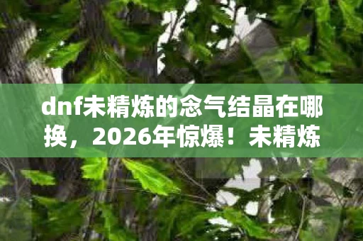 dnf未精炼的念气结晶在哪换,2026年惊爆!未精炼念气结晶竟藏惊天秘密,勇士何去何从? dnf未精炼的念气结晶在哪换,2026年惊爆!未精炼念气结晶竟藏惊天秘密,勇士何去何从?