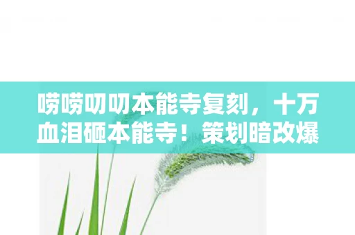 唠唠叨叨本能寺复刻,十万血泪砸本能寺!策划暗改爆率+隐藏保底,这波韭菜割得我原地升天! 唠唠叨叨本能寺复刻,十万血泪砸本能寺!策划暗改爆率+隐藏保底,这波韭菜割得我原地升天!