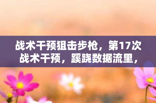 战术干预狙击步枪,第17次战术干预,蹊跷数据流里,后背发凉的十年逃亡真相 战术干预狙击步枪,第17次战术干预,蹊跷数据流里,后背发凉的十年逃亡真相