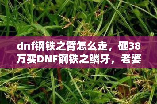dnf钢铁之臂怎么走,砸38万买DNF钢铁之鳞牙,老婆签离婚协议时我才知家已塌! dnf钢铁之臂怎么走,砸38万买DNF钢铁之鳞牙,老婆签离婚协议时我才知家已塌!